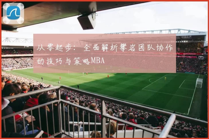 从零起步：全面解析攀岩团队协作的技巧与策略MBA