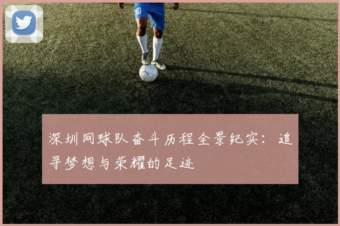 深圳网球队奋斗历程全景纪实：追寻梦想与荣耀的足迹
