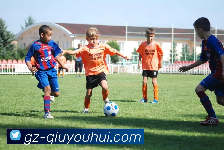 App Interface Preview